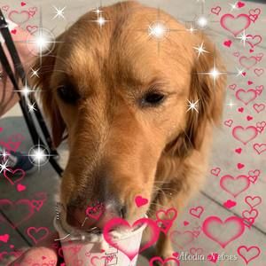 Meet your Posher, Toneya